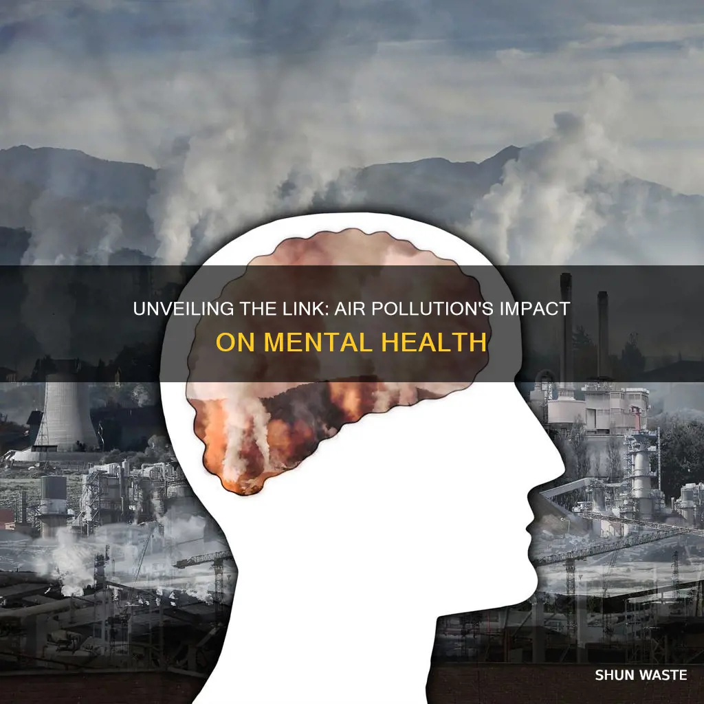 how much air pollution exposure causes mental illness