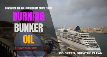 Cruise Ships' Bunker Oil Burning: Air Pollution Impact