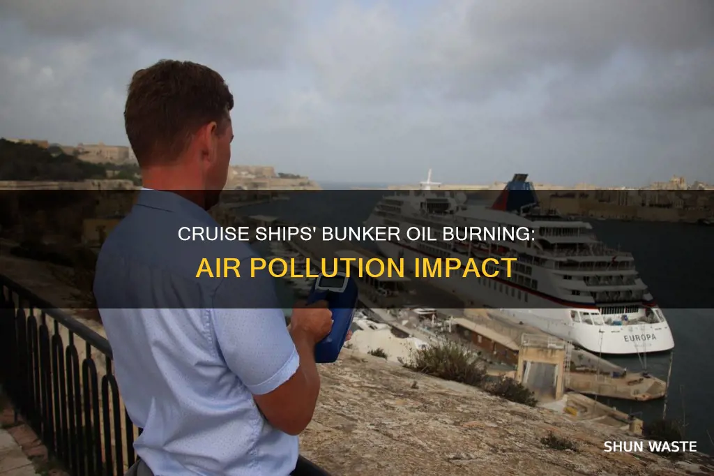 how much air pollution from cruise ships burning bunker oil