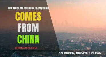 Air Pollution in California: China's Impact and Influence