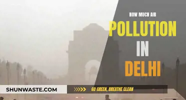 Delhi's Air Pollution: A Crisis and Its Causes