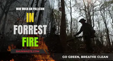 Air Pollution: Forest Fires and Their Smoky Secrets