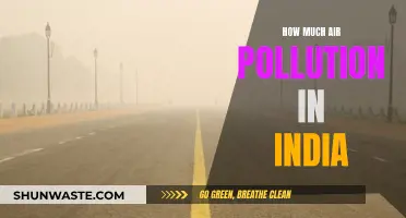 Air Pollution in India: A Critical Analysis