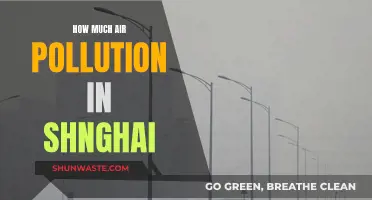 Shanghai's Air Pollution: A Comprehensive Overview