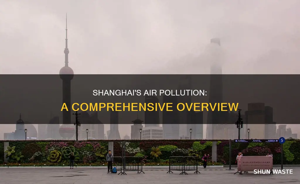 how much air pollution in shnghai