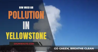 Air Pollution's Impact on Yellowstone: A Worrying Reality