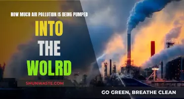 Air Pollution: Global Crisis and Health Emergency