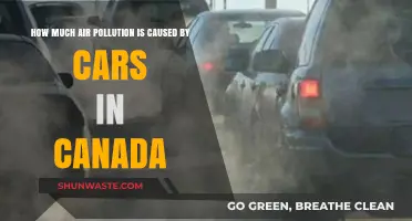 Canada's Car Emissions: Unveiling the Impact on Air Quality