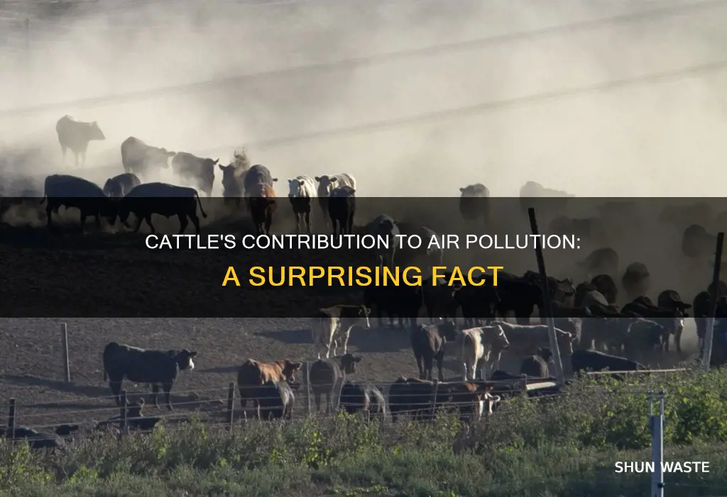 how much air pollution is caused by cattle