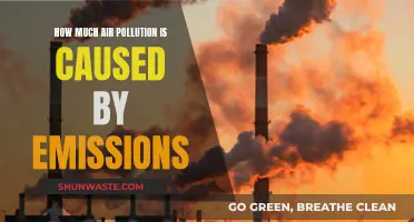 Unveiling the Impact: Emissions' Role in Air Pollution