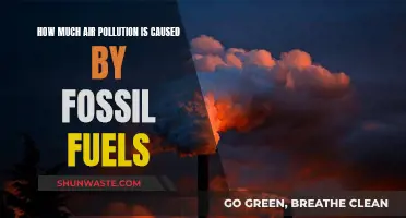 Unveiling the Fossil Fuel's Impact: Air Pollution's Hidden Source