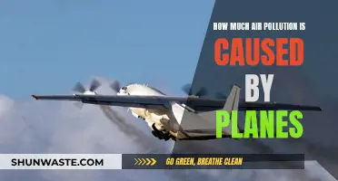 Unveiling the Skies' Secret: Plane Pollution's Impact