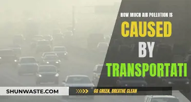 Transportation's Impact: Unveiling the Air Pollution Crisis