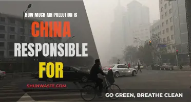 China's Air Pollution Crisis: Who is Responsible?