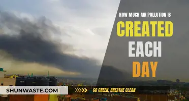 Air Pollution: Daily Emissions and Their Impact