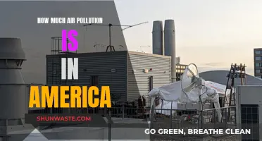 Air Pollution in America: A Comprehensive Overview