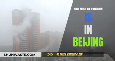 Air Pollution in Beijing: A Critical Analysis