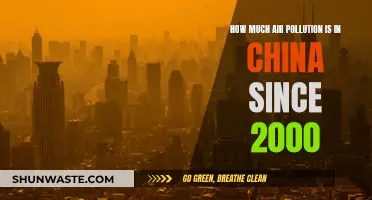 Air Pollution in China: A 21st Century Crisis