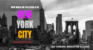Air Pollution in NYC: A Dangerous Reality