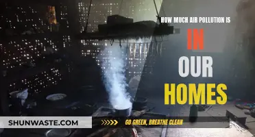 Air Pollution in Homes: What's the Quality Like Indoors?