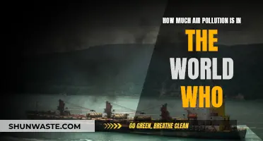 Air Pollution's Global Impact: WHO's Warning