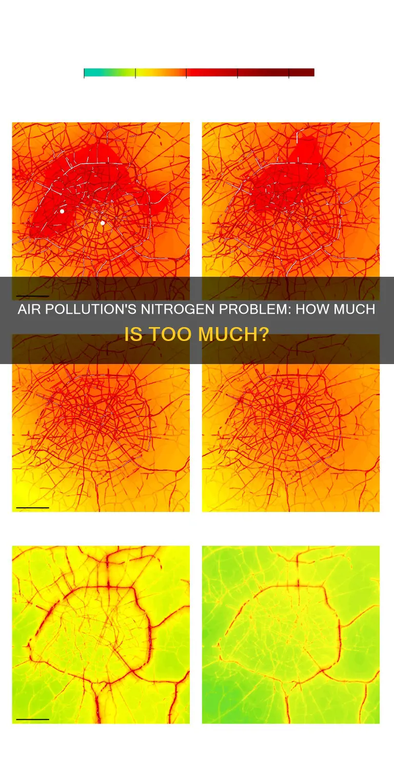 how much air pollution is nitrogen