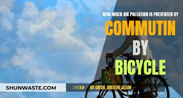 Biking to Work: Reducing Air Pollution, Improving Health