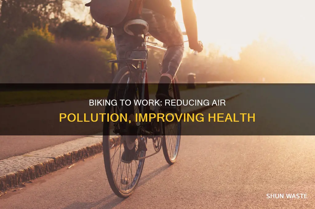 how much air pollution is prevented by commuting by bicycle