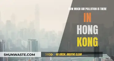 Hong Kong's Air Pollution: A Critical Analysis