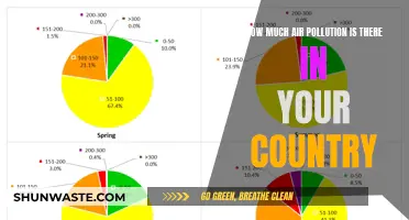 Air Pollution in [Country]: A Comprehensive Overview