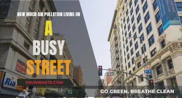 Air Pollution on Busy Streets: A Health Hazard?