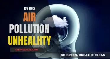 Air Pollution: A Lethal Crisis We Face