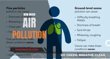 Air Pollution: Measuring the Impact and Assessing the Damage