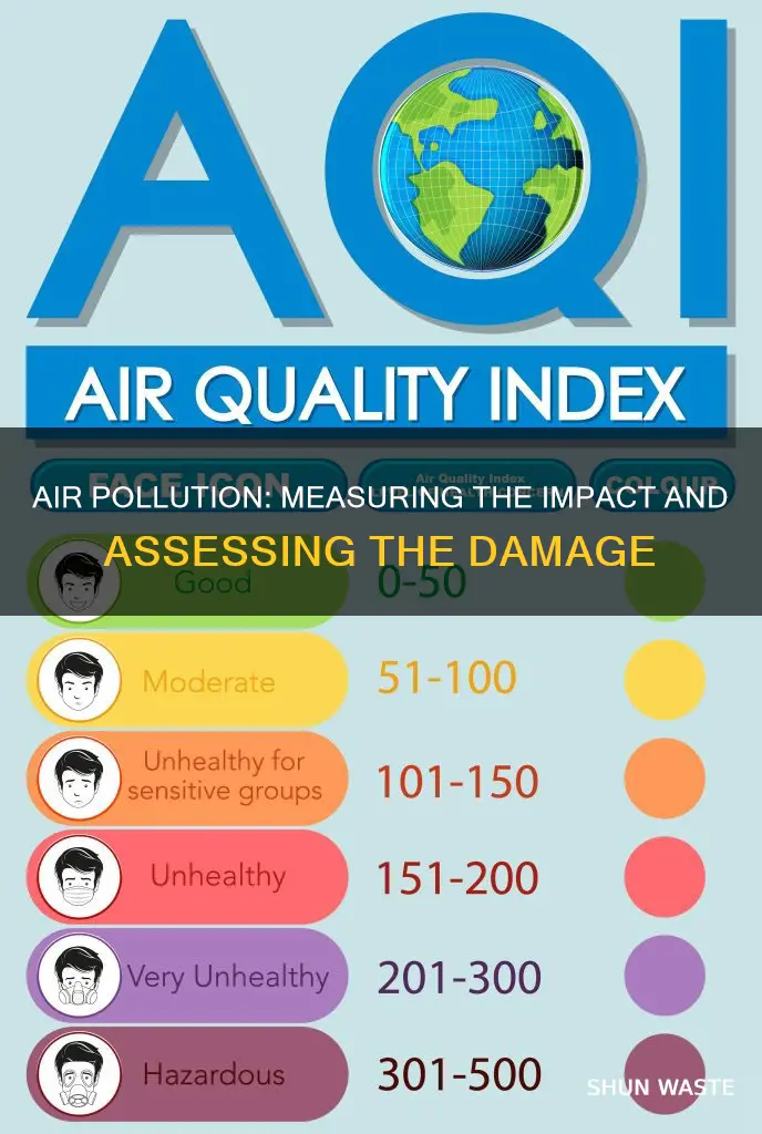 how much air pollution