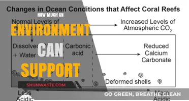 Understanding Environmental Limits: How Much Life Can Ecosystems Sustain?