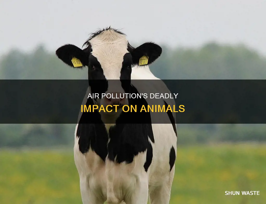 how much animals die from air pollution