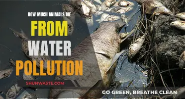 The Silent Killer: Water Pollution's Devastating Impact on Wildlife