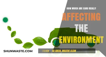 Car Emissions: Uncovering the Environmental Impact of Our Vehicles