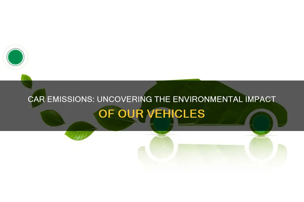 how much are cars really affecting the environment