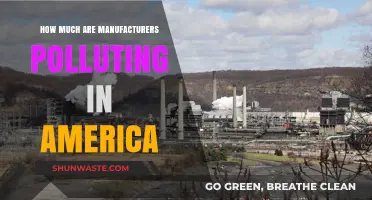 US Manufacturers: Pollution and Accountability