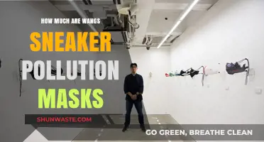 Wang's Sneaker Pollution Masks: Price and Features