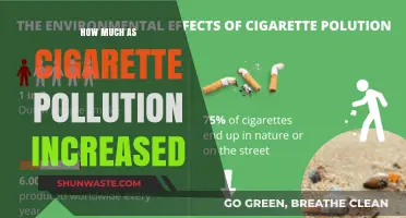 Cigarette Pollution: A Rising Threat to Our Health