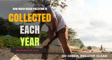 Beach Pollution: Annual Cleanup Efforts and Statistics