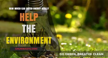 Green Energy's Impact: Real Environmental Benefits or Overhyped Solution?
