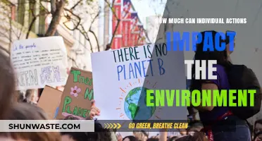 Small Steps, Big Change: Individual Actions Shaping Our Environment