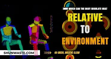 How the Human Body Regulates Heat in Diverse Environments