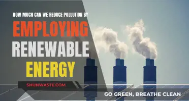 Renewable Energy: Pollution Reduction Potential