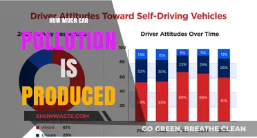 Car Pollution: How Much is Too Much?