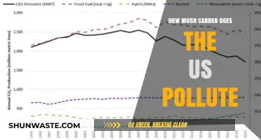 US Carbon Emissions: The Polluting Reality