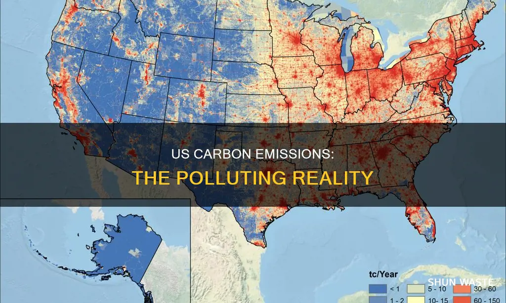 how much carbon does the us pollute